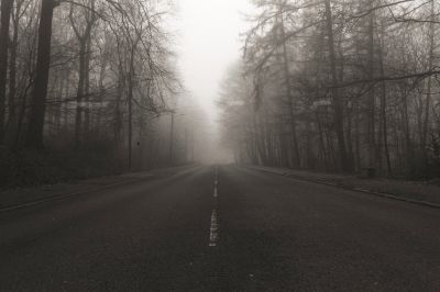 Herbst / Mood  photography by Photographer giveon | STRKNG