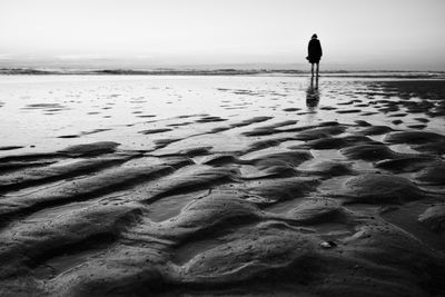 Fade to black / Nature  photography by Photographer Jens Steidtner ★1 | STRKNG