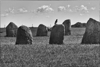 Schwarz-weiss  Fotografie von Fotograf micbec | STRKNG