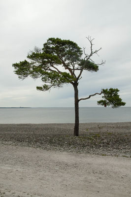 Natur  Fotografie von Fotograf micbec | STRKNG