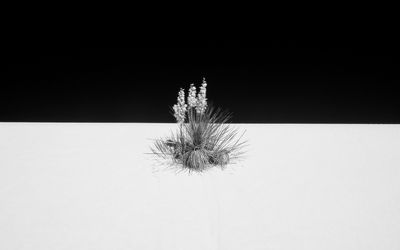 Not everything is Black&amp;White / Landscapes  Fotografie von Fotograf Björn Kleemann ★1 | STRKNG