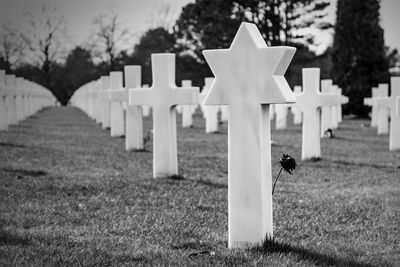 Memorial / Black and White  photography by Photographer m a l o r | p h o t o | STRKNG