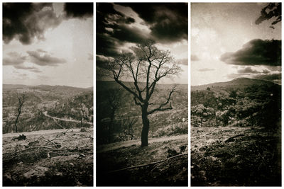 On the Nature of Daylight / Fine Art  Fotografie von Fotograf KameraEskura ★1 | STRKNG