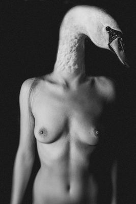 Creative edit  photography by Photographer Bogdan Bousca ★47 | STRKNG