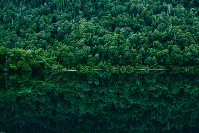 Lago Espejo / Landscapes  photography by Photographer Germán Saez ★1 | STRKNG