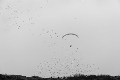 come fly with me / Mood  photography by Photographer Stefan Jaeger ★1 | STRKNG