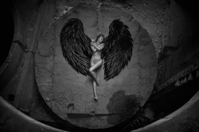 fallen one / Schwarz-weiss  Fotografie von Fotograf Piet.Sommer ★14 | STRKNG