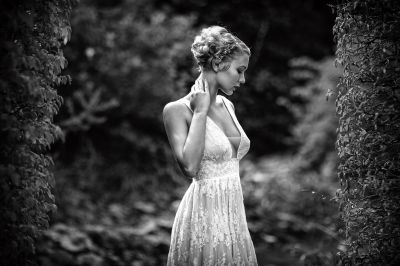 Buschwerk / Black and White  photography by Photographer Piet.Sommer ★14 | STRKNG