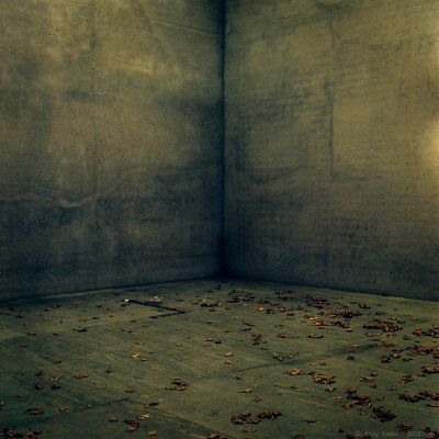 Stimmungen  Fotografie von Fotograf Andy Komoll ★4 | STRKNG