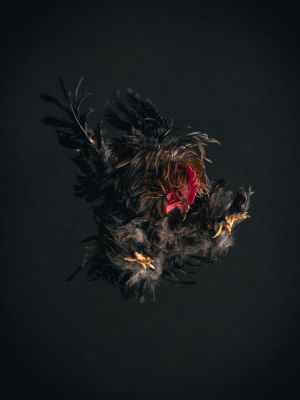 Zapfi / Fine Art  Fotografie von Fotograf David Schütte ★6 | STRKNG