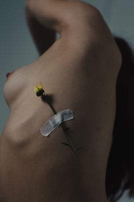 The Florist / Fine Art  Fotografie von Fotograf KjTaylor_Fotografik ★3 | STRKNG