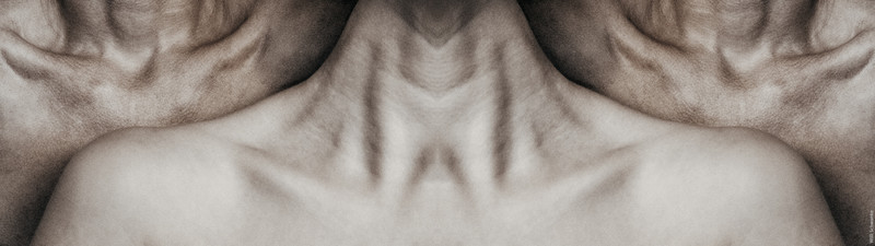shoulder | rue | tanzsaal | 2o24 - &copy; Willi Schwanke | Nude