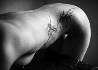 table3 / 2024-06-25 table3 / Nude photography by Photographer Willi Schwanke ★42 | STRKNG