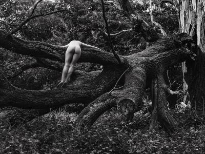 -8738sw- | ginsheim | amRhein2 | 2o18 / Nude  Fotografie von Fotograf Willi Schwanke ★40 | STRKNG