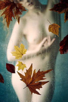 Autumn Leaves / Nude  Fotografie von Fotograf Ewald Vorberg ★4 | STRKNG