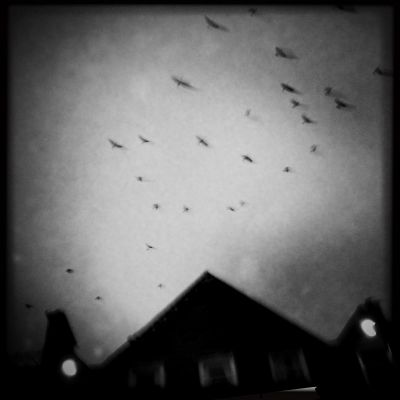 The last frame / Schwarz-weiss  Fotografie von Fotograf Ewald Vorberg ★4 | STRKNG