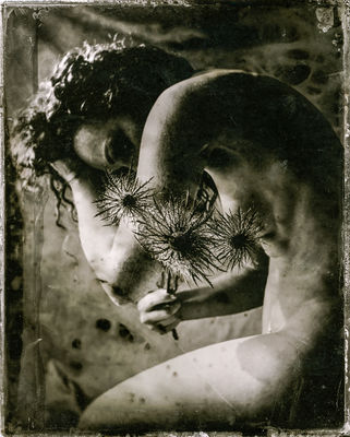 Thistles / Nude  Fotografie von Fotograf Ewald Vorberg ★4 | STRKNG