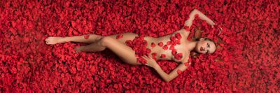 Rose Petals / Nude  Fotografie von Fotograf schaetzle-photography | STRKNG