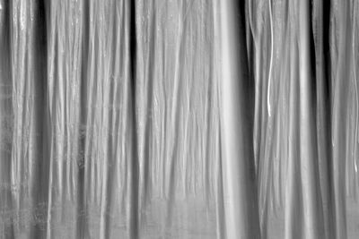 Wald / Black and White  photography by Photographer Dr. B ★4 | STRKNG