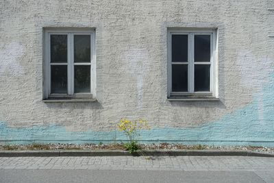 Es blüht / Stadtlandschaften  Fotografie von Fotografin Dr. B ★4 | STRKNG