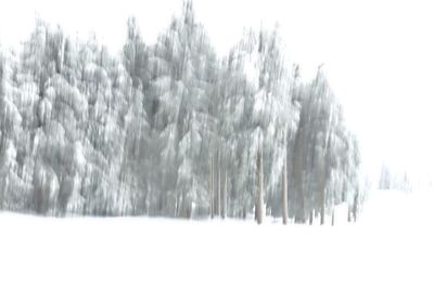 Winter / Reise  Fotografie von Fotografin Dr. B ★4 | STRKNG