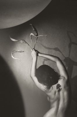 Roots / Konzeptionell  Fotografie von Fotografin Marek Juras ★6 | STRKNG