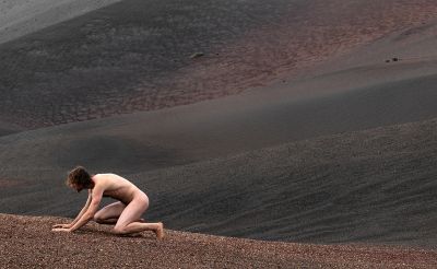 Butterfly / Fine Art  photography by Photographer Gaspard Noël ★3 | STRKNG