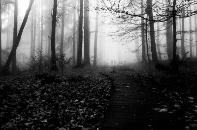 Lost Track / Stimmungen  Fotografie von Fotograf Marian Hummel ★11 | STRKNG