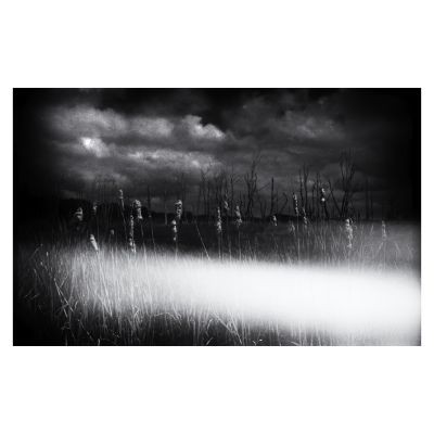 Fine Art  Fotografie von Fotograf Michael Wölfel ★6 | STRKNG