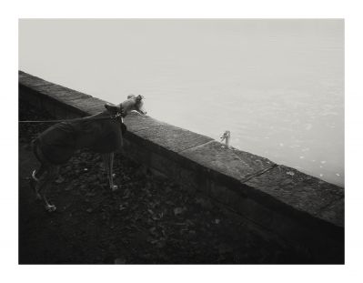 Fine Art  Fotografie von Fotograf Michael Wölfel ★6 | STRKNG