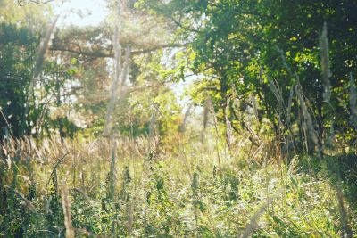 Natexplo / Landscapes  Fotografie von Fotograf Atles | STRKNG