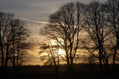 Birds and the sun / Landscapes  Fotografie von Fotograf Atles | STRKNG