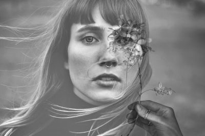 Flower in the wind / Fine Art  Fotografie von Fotografin alina_caat_arts | STRKNG