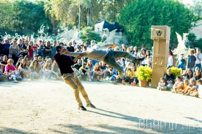 Art of Fly / Action  photography by Photographer Ogamifam | STRKNG