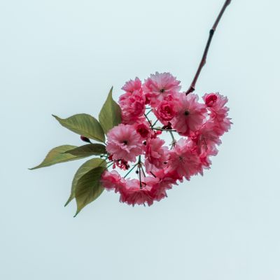 Nature  photography by Photographer Quirin Brunhuber | STRKNG
