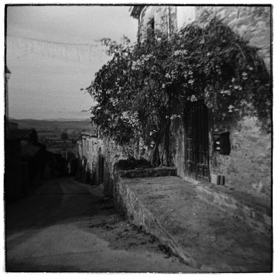 The Remains of the Day, Llàbia, Baix Empordà / Fine Art  Fotografie von Fotograf Joe Hogan ★4 | STRKNG