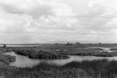 El Delta de l'Ebre, Southern Catalunya El Delta de l'Ebre, Southern Catalunya / Landscapes Fotografie von Fotograf Joe Hogan ★4 | STRKNG