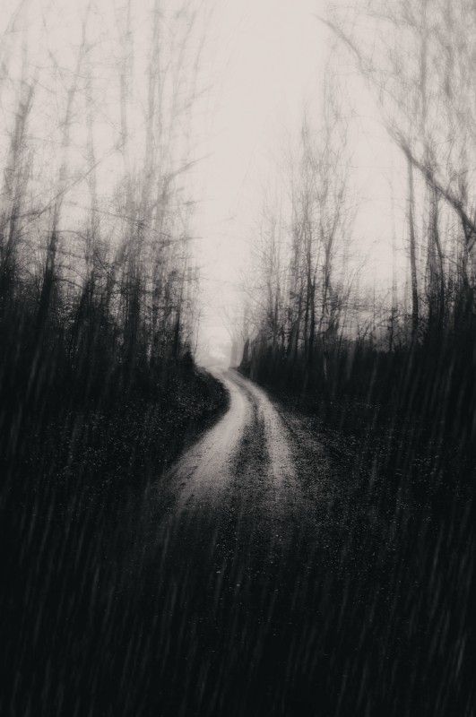 Spooky forest - &copy; Karim bouchareb | Fine Art