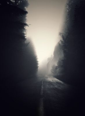 Muse / Stimmungen  Fotografie von Fotograf Karim bouchareb ★17 | STRKNG