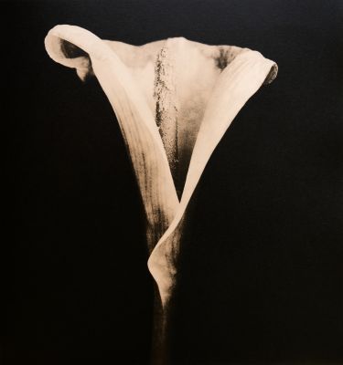 Ästhetik des Vergänglichen / Alternative Process  photography by Photographer H.D. Schardt | STRKNG