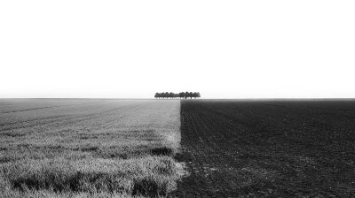 Monoculture / Landscapes  photography by Photographer Karrenstein ★1 | STRKNG