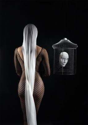 Der Käfig / Fine Art  photography by Photographer Lars Lambrecht | STRKNG