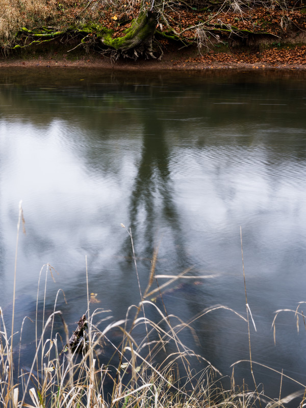  - &copy; René Greiner Fotografie | Natur