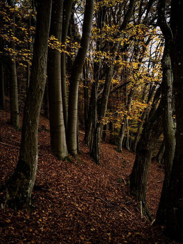  - &copy; René Greiner Fotografie | Natur