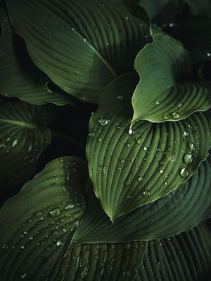 Nature  photography by Photographer René Greiner Fotografie ★5 | STRKNG