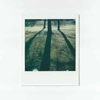 Drei Bäume (2025) / Instant-Film  Fotografie von Fotograf René Greiner Fotografie ★5 | STRKNG