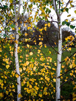 Natur  Fotografie von Fotograf René Greiner Fotografie ★4 | STRKNG