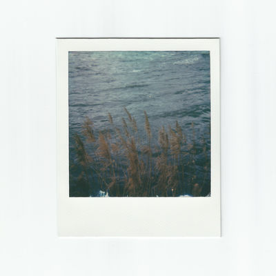 Am Fluss I (2025) / Instant-Film  Fotografie von Fotograf René Greiner Fotografie ★5 | STRKNG