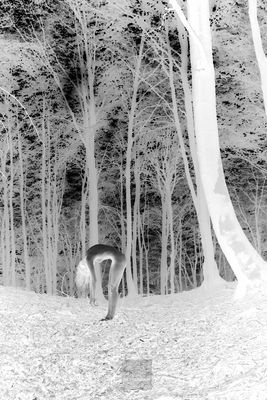 I&#039;m sorry... / Fine Art  photography by Photographer ugo grandolini ★8 | STRKNG