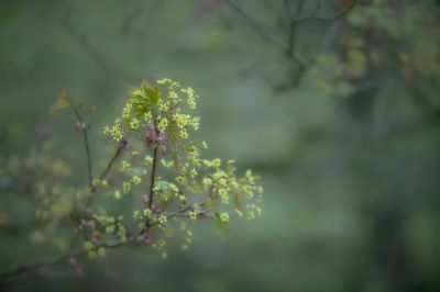 Abstrakt  Fotografie von Fotograf Hartmut Kettenburg | STRKNG